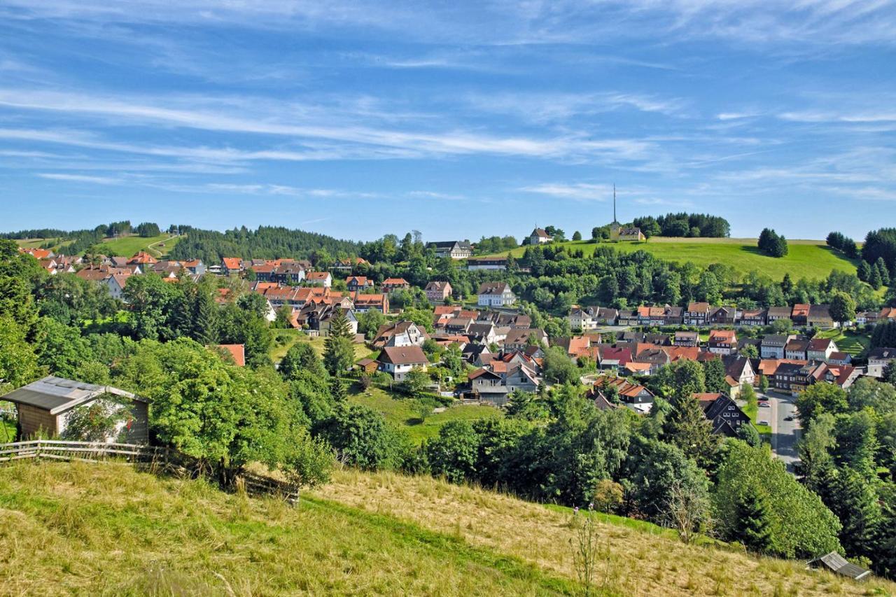 Apartment Am Kurpark Sankt Andreasberg Kültér fotó